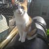 20170922 161357 resized
